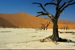 Namibia