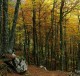 Descripción: Hayedo de Redilluera en otoño