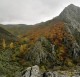 Descripción: Bosque de Tejedo. Siguiendo el río Curueño en medio de Las Hoces