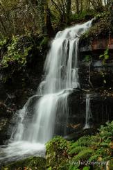 El Bierzo