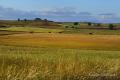 Imagen 3 de la galería de La Meseta