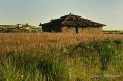 La Meseta