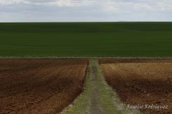 La Meseta