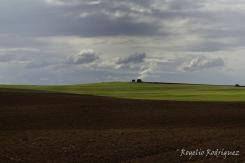 La Meseta