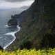 Descripción: Madeira