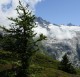 Descripción: Tour del Mont Blanc