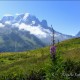 Descripción: Tour del Mont Blanc