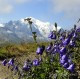 Descripción: Tour del Mont Blanc