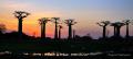 Madagascar
