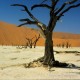 Descripción: Namibia