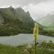 Descripción: Parque de Somiedo en Asturias