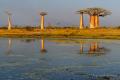 Cerca de Morondava localidad costera de hermosas playas