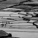 Descripción: Campos de arroz. Madagascar es el mayor consumidor mundial de arroz per cápita