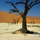 Descripción: Pan Sossusvlei en el desierto del Namib los esqueletos de árboles