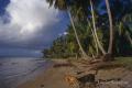 Playa de Samana en República Dominicana