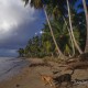 Descripción: Playa de Samana en República Dominicana