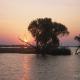 Descripción: Delta del Okavango 2.002