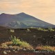 Descripción: Paisaje sobrecogedor el que nos muestran estos parajes