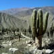 Descripción: Pucara de Tilcara en S.S. Jujuy